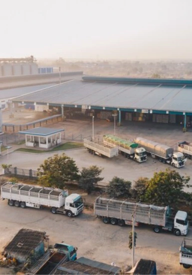 ECOSHINE UAE